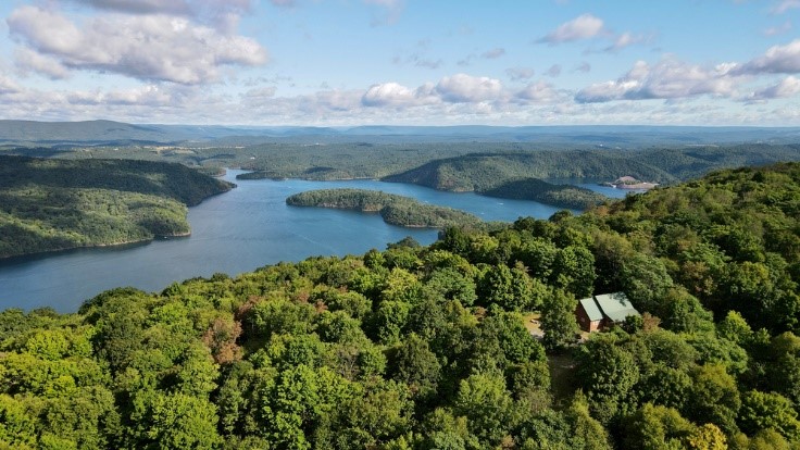 aerial photo of lake and cabin inside trees