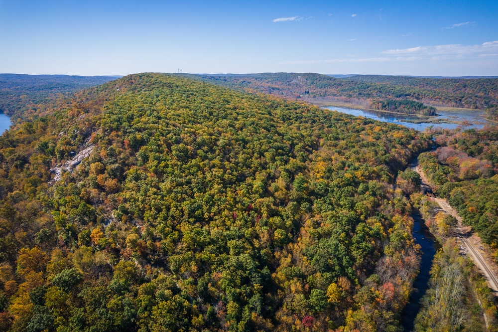 Aerial view of a forest in West Milford, NJ