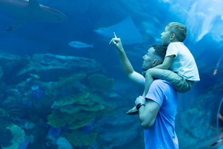 kid on dad's shoulders at Baltimore Aquarium