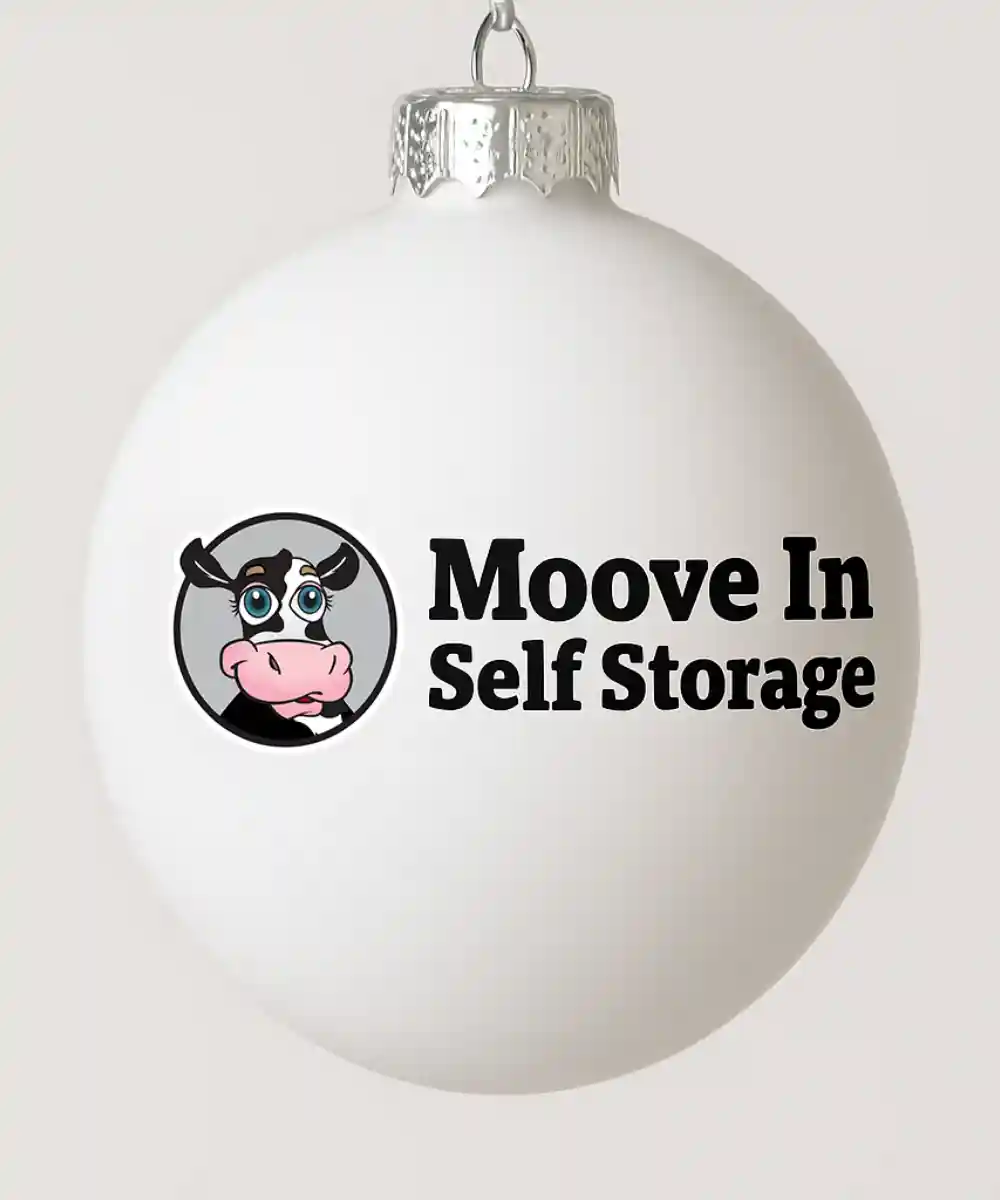 Christmas Lights Storage